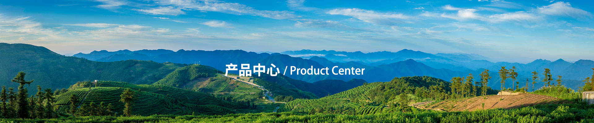 九游娱乐入口官网下载